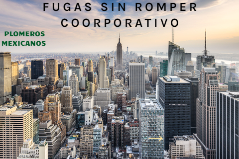 Reparacion de Fuga de Agua y Gas